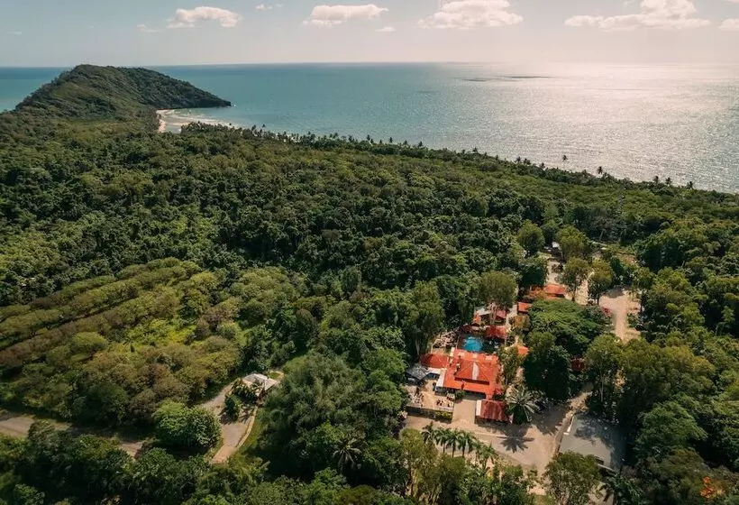 Отель Pks Jungle Village