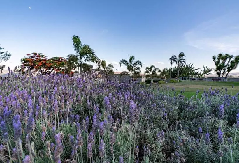 Hotel Pousada Camelot Inn