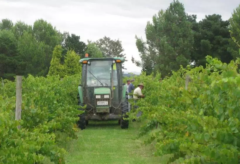 Отель Sovereign Hill Country Lodge