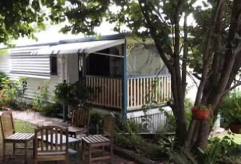 酒店 Staple House Bed And Breakfast