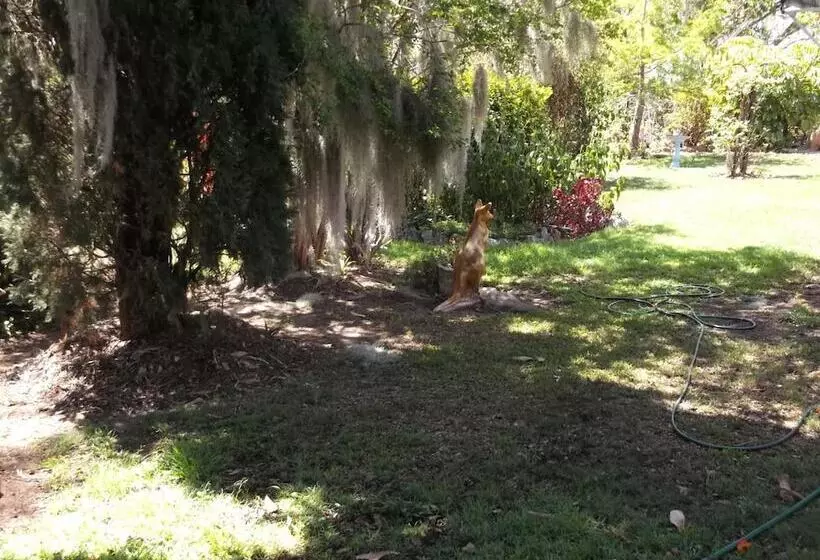 酒店 Staple House Bed And Breakfast