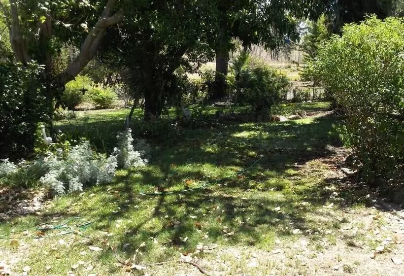 酒店 Staple House Bed And Breakfast