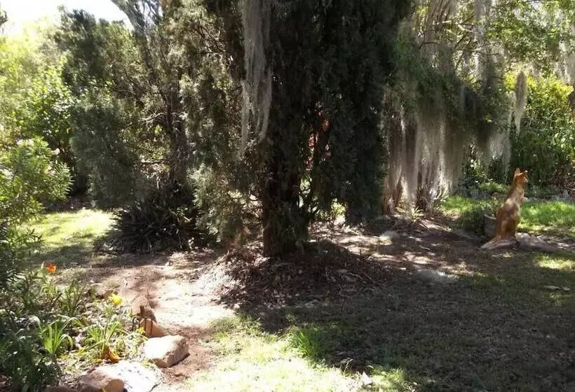 酒店 Staple House Bed And Breakfast