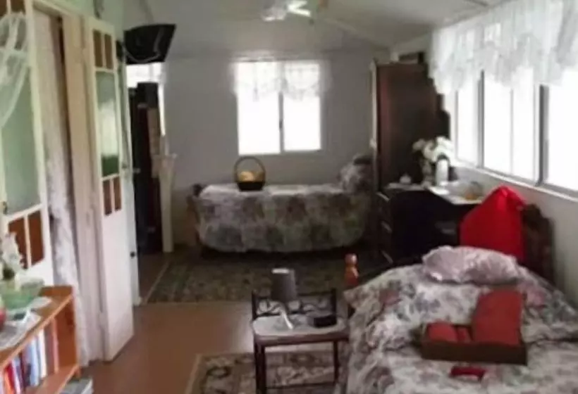 酒店 Staple House Bed And Breakfast