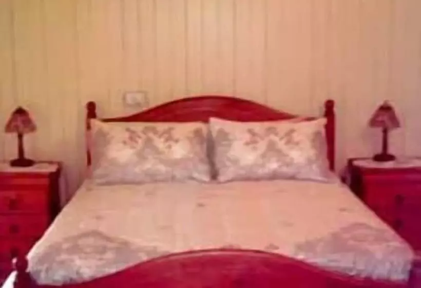 酒店 Staple House Bed And Breakfast