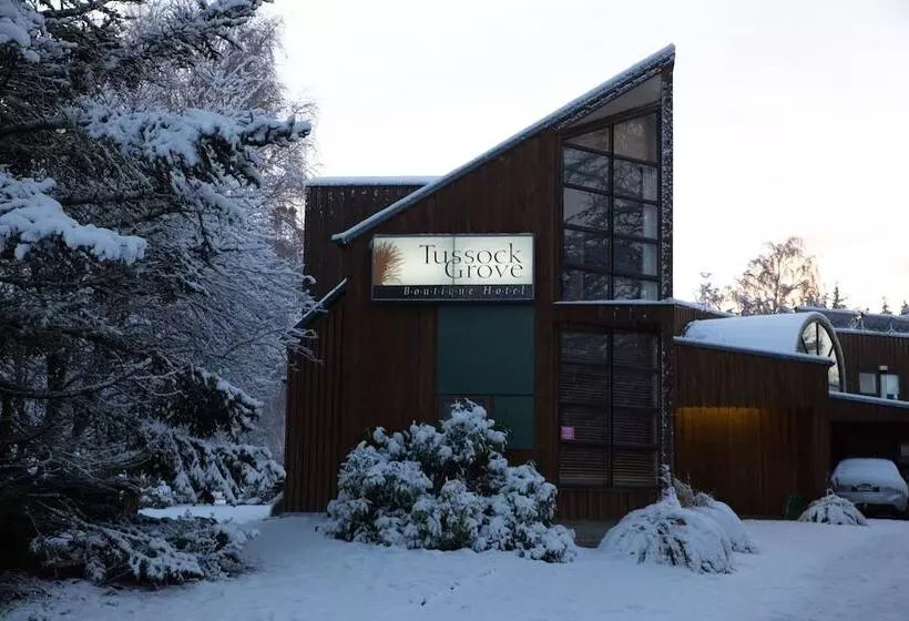 هتل Tussock Grove Boutique