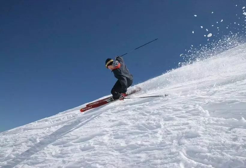 هتل Tussock Grove Boutique