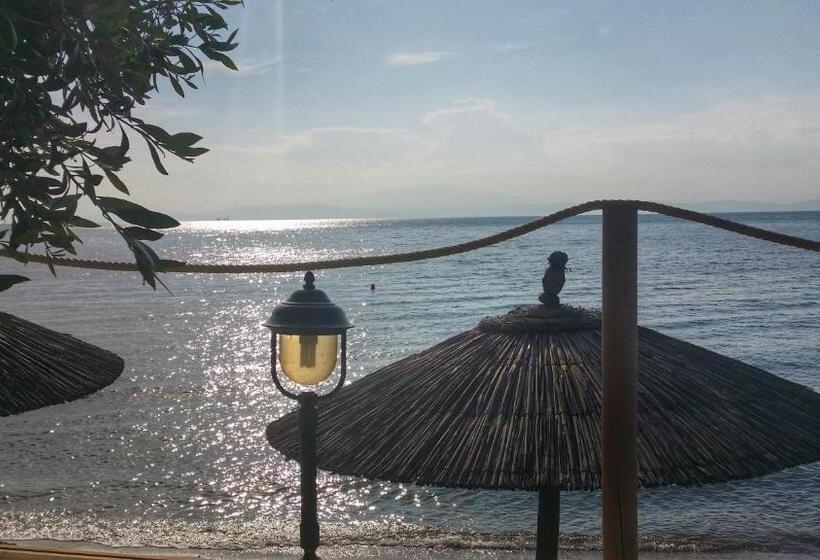 Akti Belvedere Color & Essence