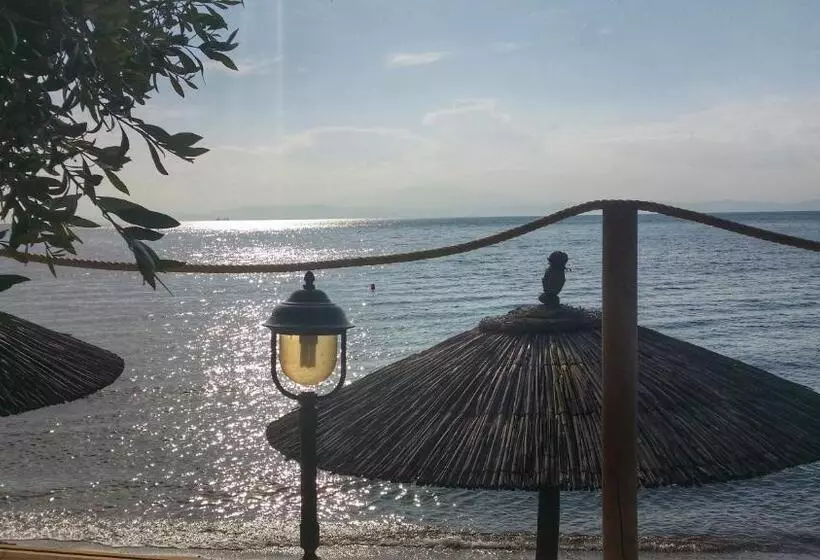 Akti Belvedere Color & Essence