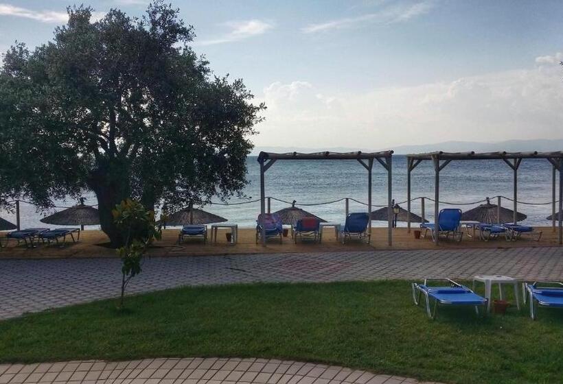 Akti Belvedere Color & Essence