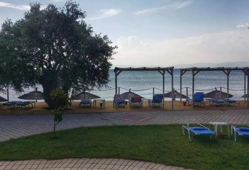 Akti Belvedere Color & Essence