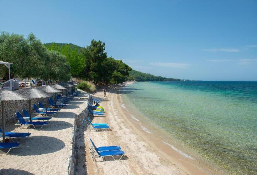 Akti Belvedere Color & Essence