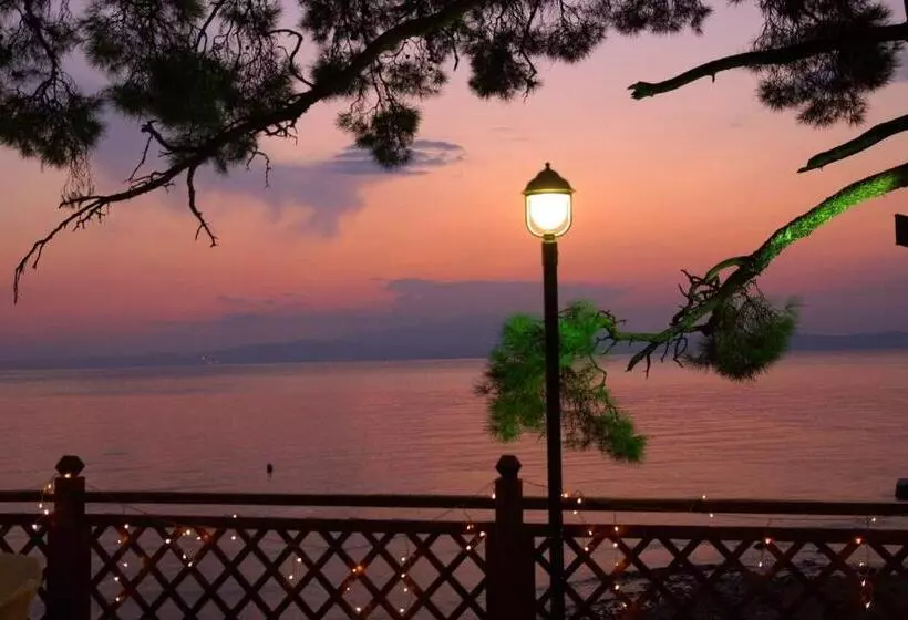 Akti Belvedere Color & Essence