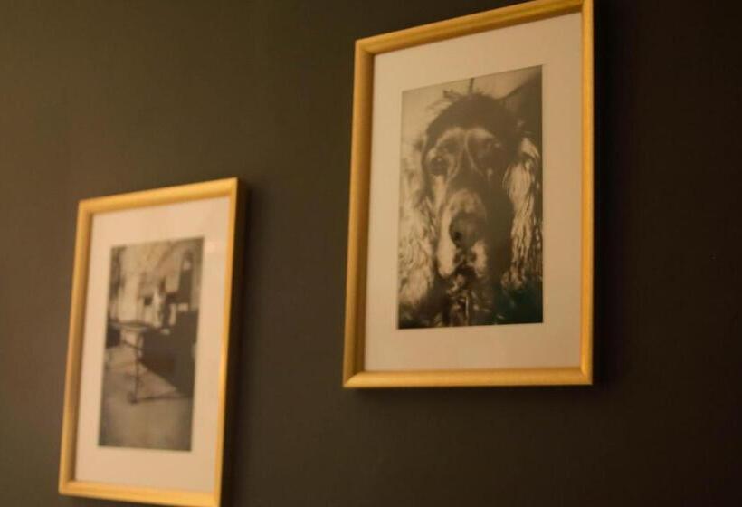 مبيت وإفطار Guest House Camilla