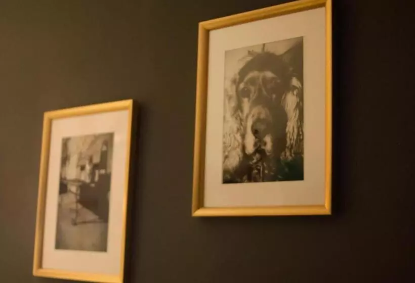 민박 Guest House Camilla