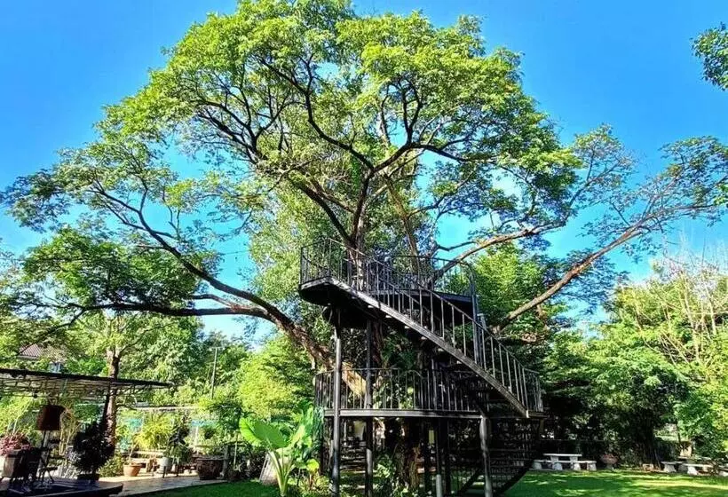 ホテル Chayada Garden House And Resort