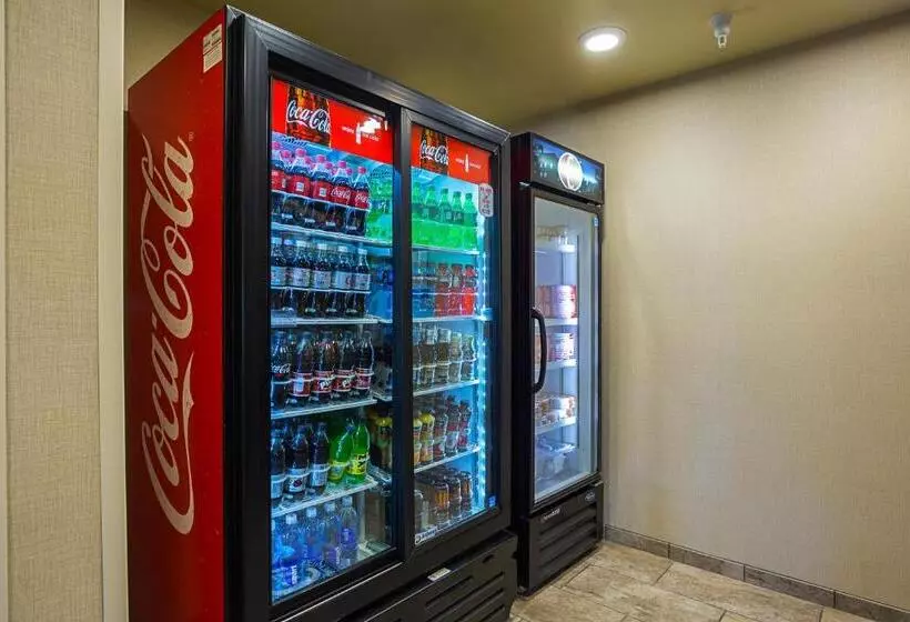 Hotelli Cobblestone Inn & Suites  Altamont