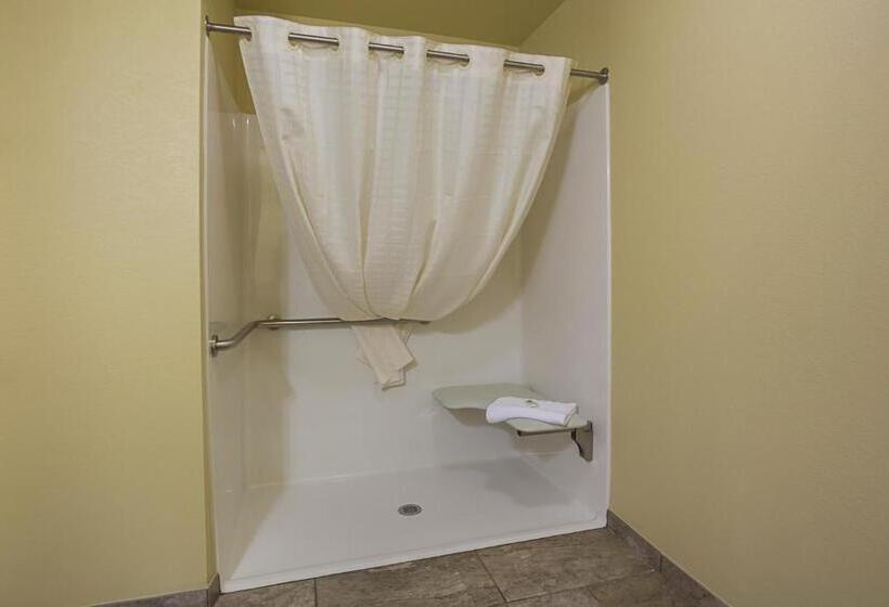 호텔 Cobblestone Inn & Suites  Altamont