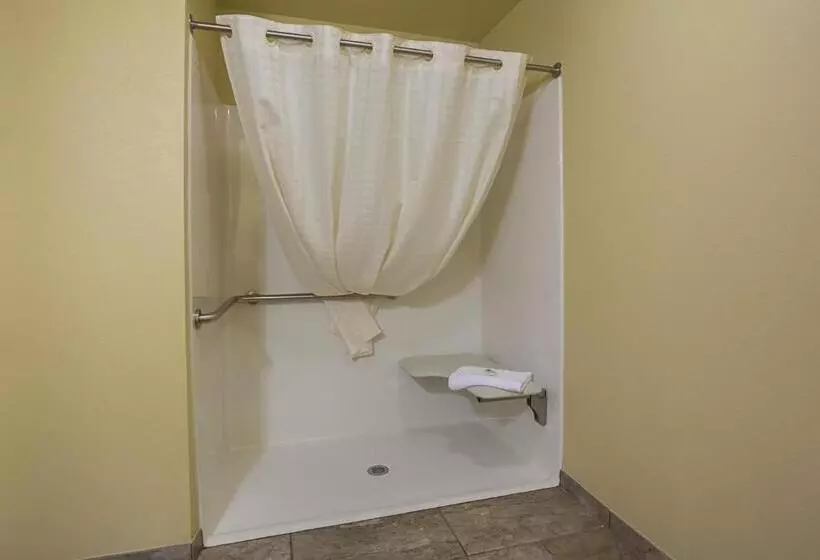 Hotelli Cobblestone Inn & Suites  Altamont