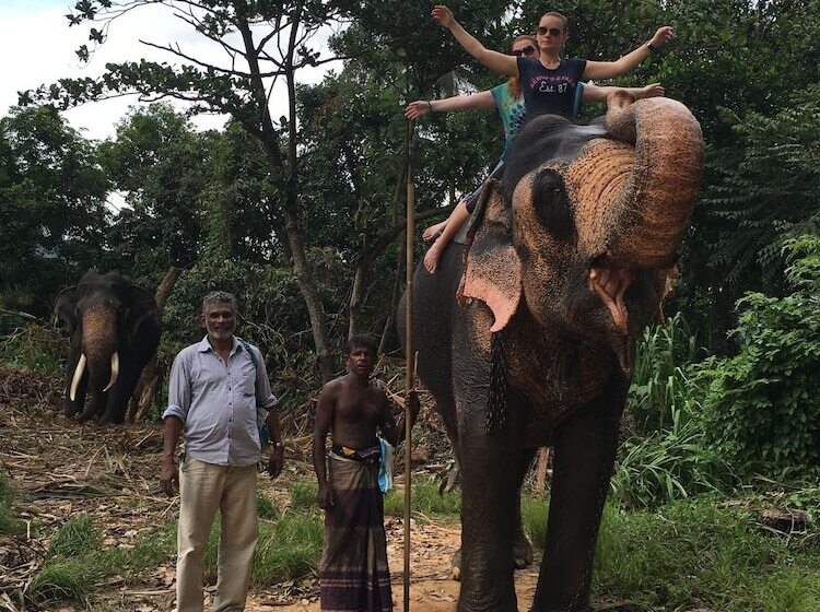 فندق Mango Garden