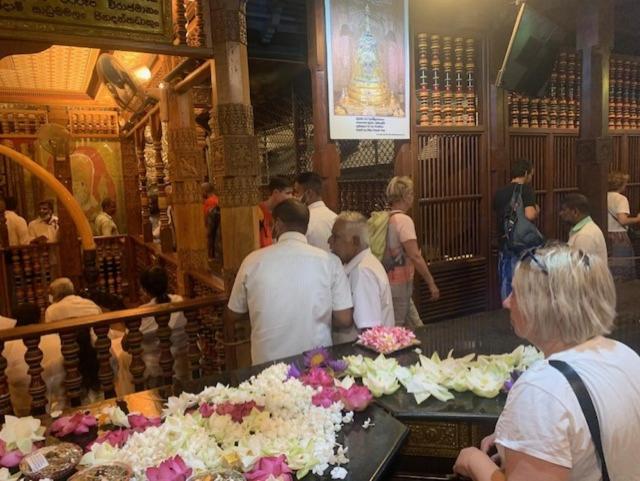 فندق Mango Garden