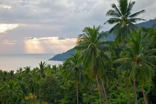 ホテル Nirvana Detox Healing Center