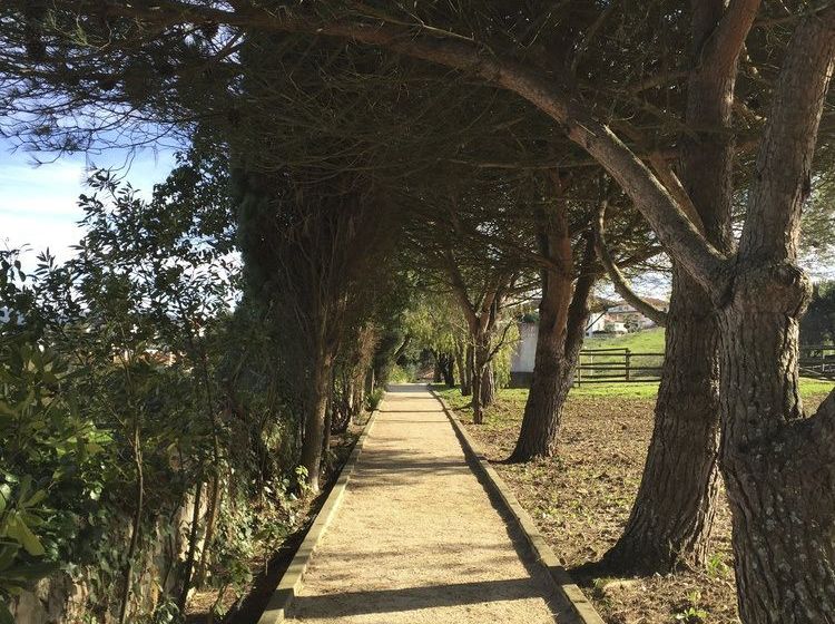 호텔 Solar Da Cerca Do Mosteiro