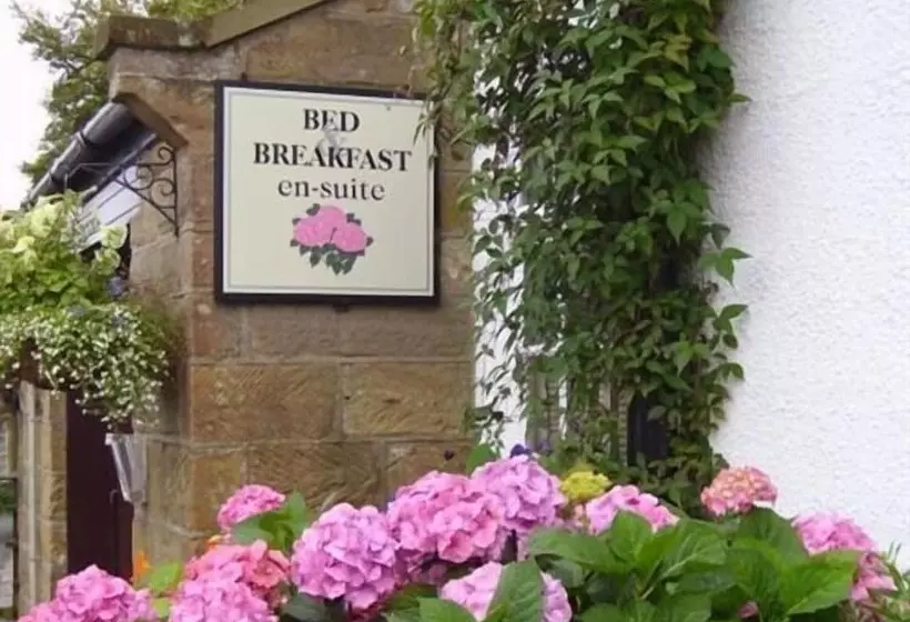 Thorpe Green House Vegetarian Bed & Breakfast