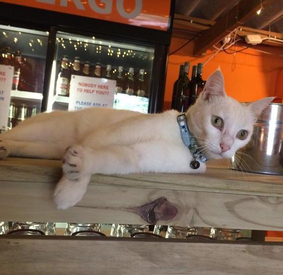 Albergo For Backpackers