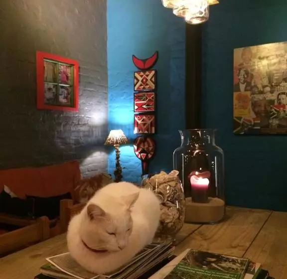 Albergo For Backpackers