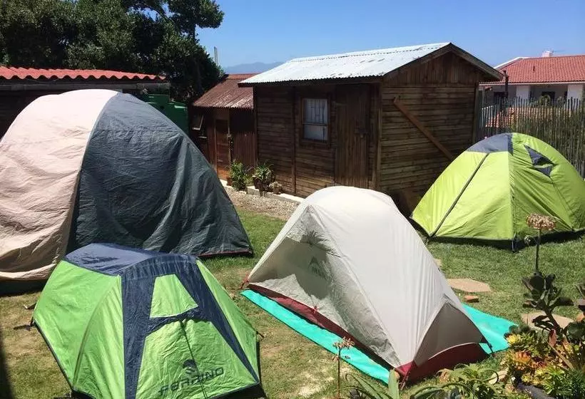 Albergo For Backpackers