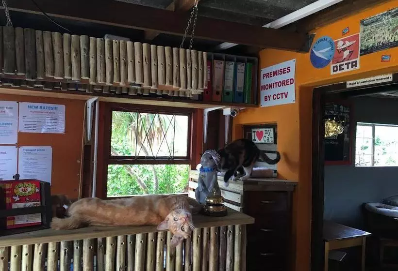 Albergo For Backpackers