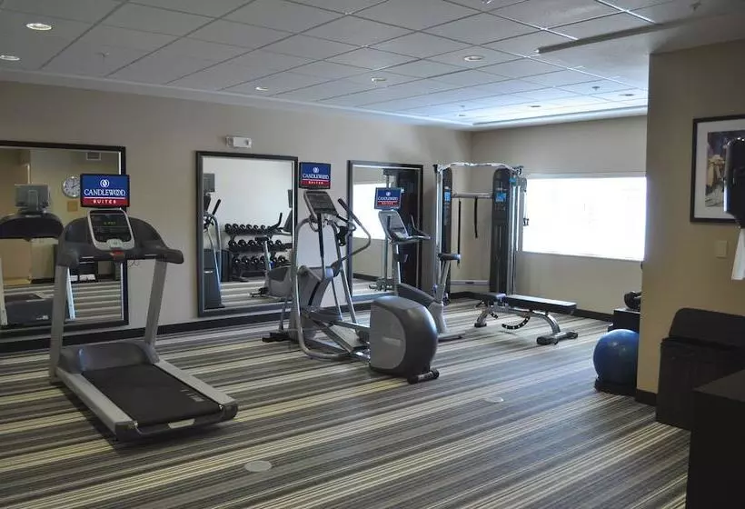 酒店 Candlewood Suites Bay City, An Ihg