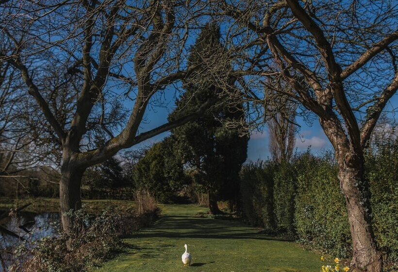 فندق Healing Manor