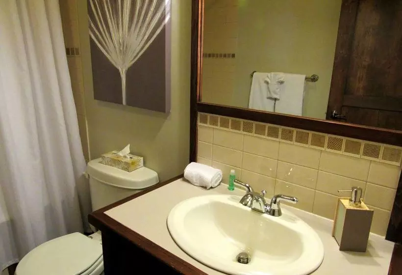 Hotel Tremblant Les Eaux By Les Suites