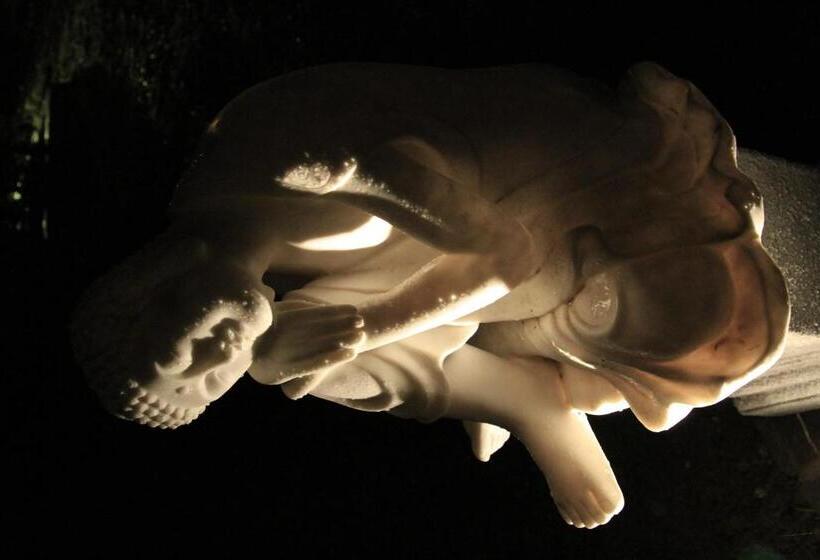 Пансион Paj Hotelul Retreat & Spa