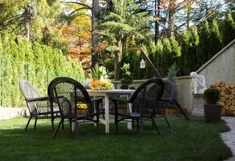 Пансион Paj Hotelul Retreat & Spa