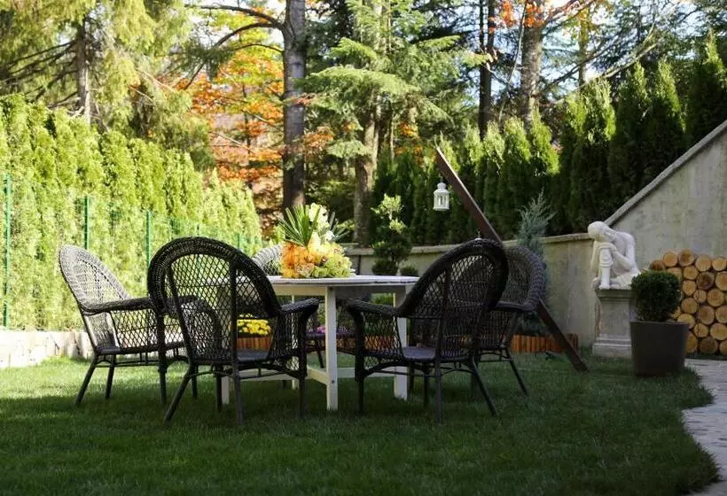 ペンション Paj Hotelul Retreat & Spa