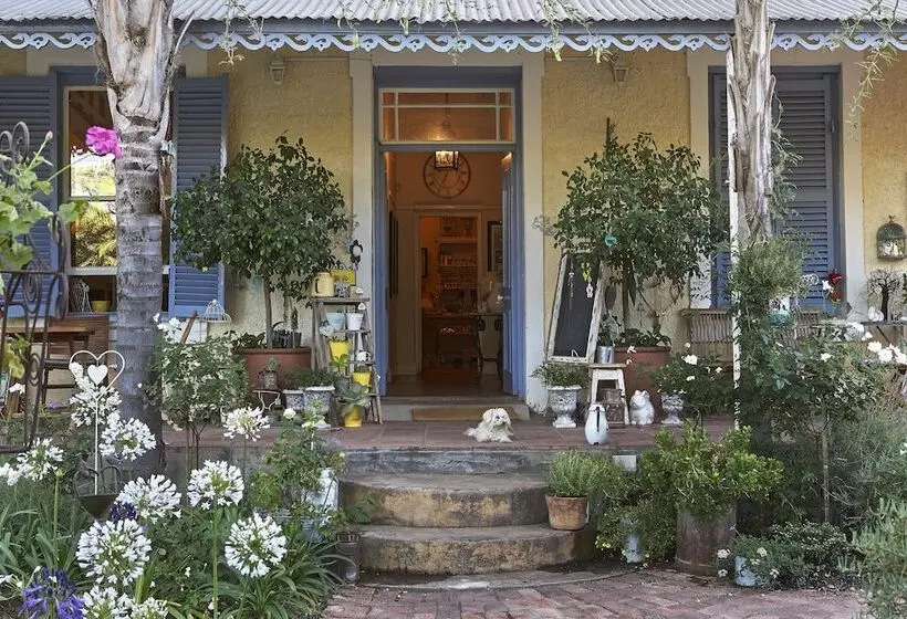 膳宿费 Yellow Aloe