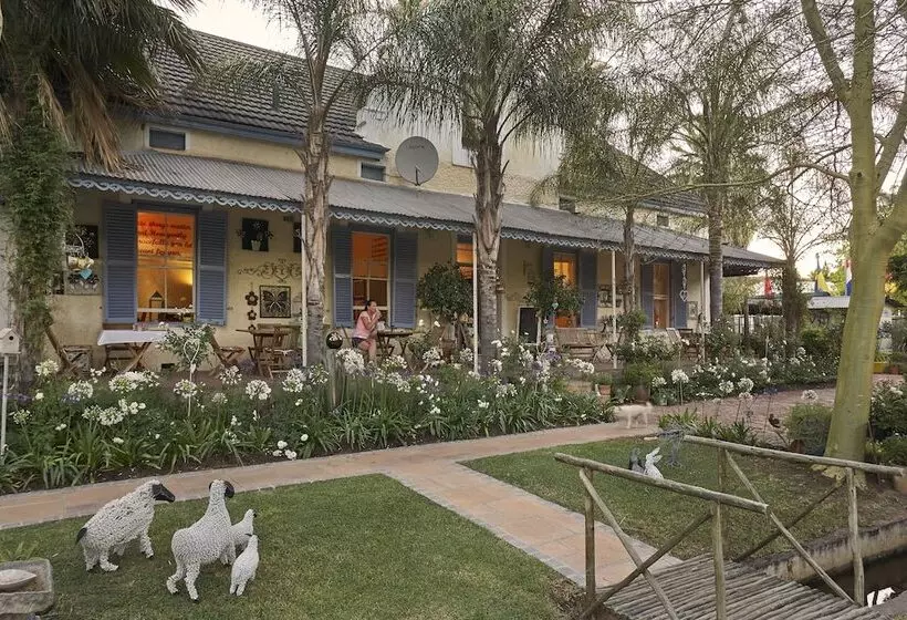 膳宿费 Yellow Aloe