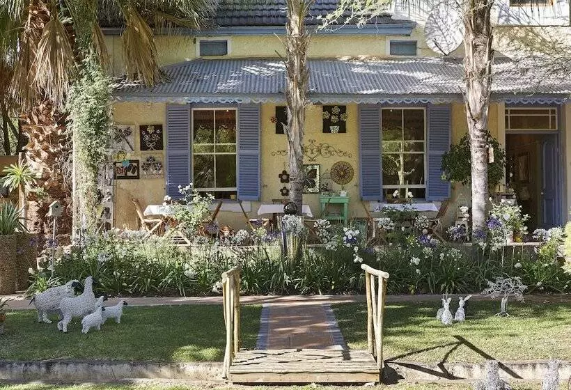 膳宿费 Yellow Aloe