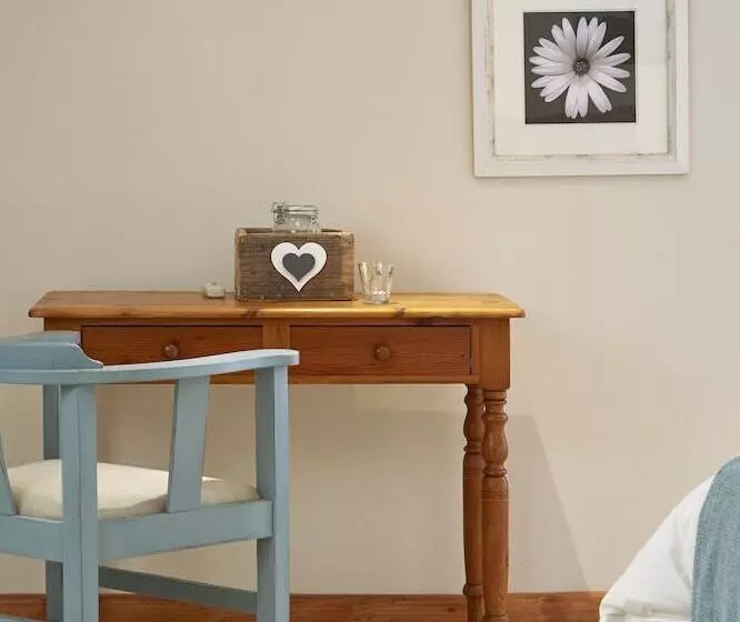 膳宿费 Yellow Aloe