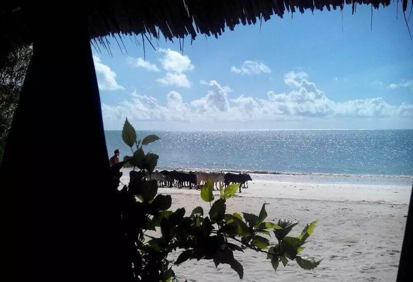 Resort Villa De Coco