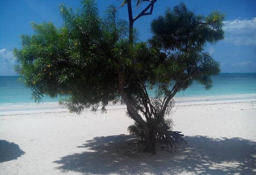 אתר נופש Villa De Coco