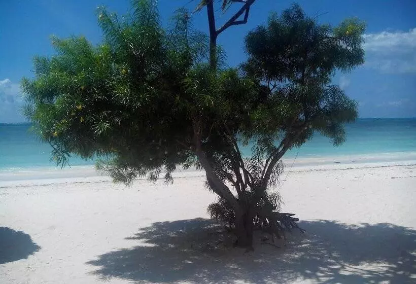 Resort Villa De Coco