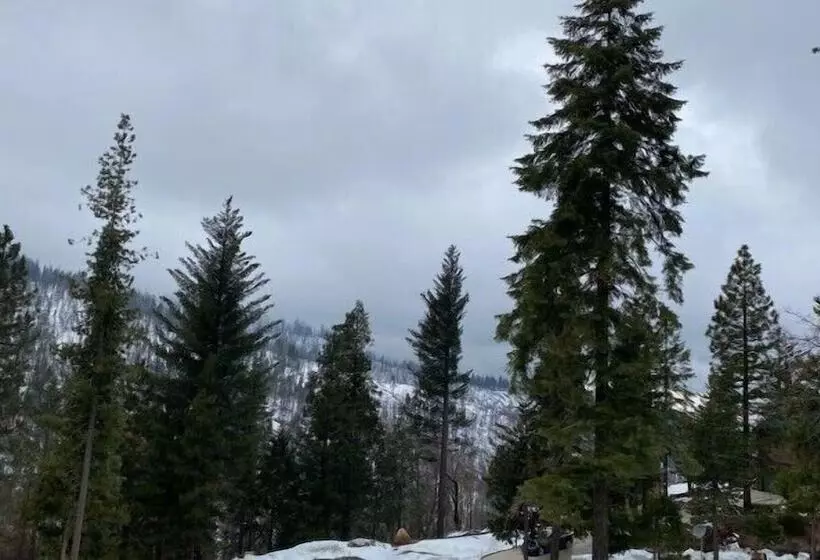 Scenic Wonders Serenity Pines 3 Bedrooms