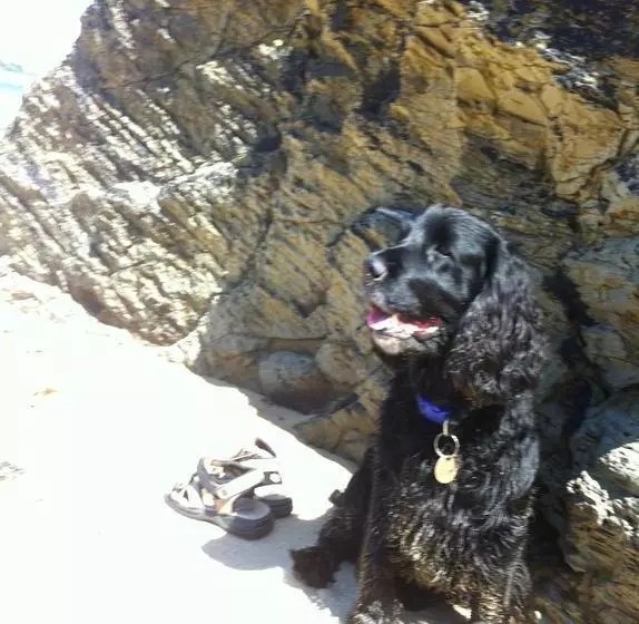 ベッドアンドブレックファースト Cally Croft