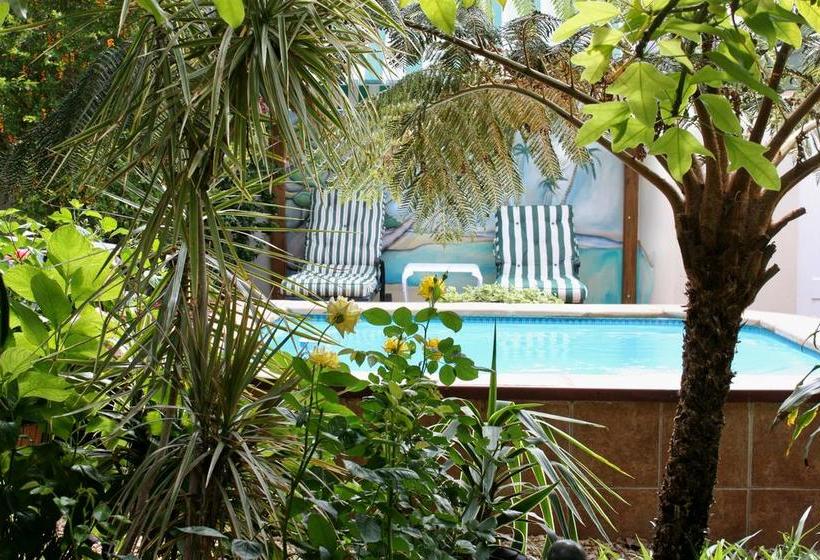 ベッドアンドブレックファースト Somerset Lodge