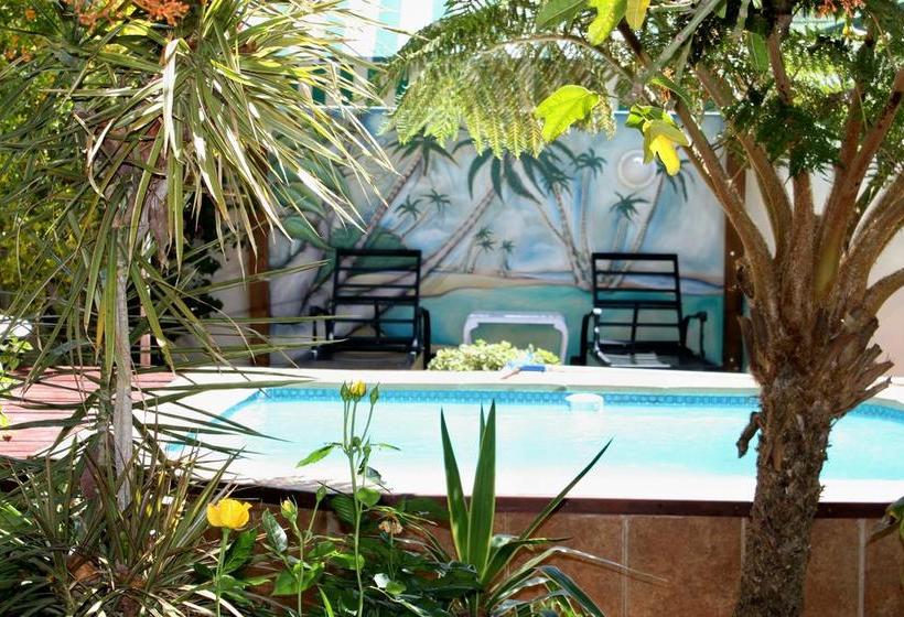 ベッドアンドブレックファースト Somerset Lodge