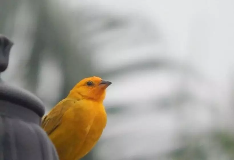 Finca Hotel La Rivera